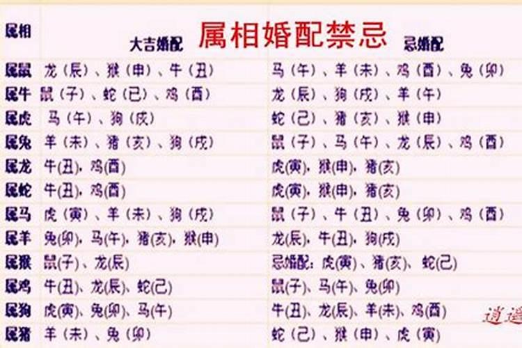 1970年生肖配对的奥秘