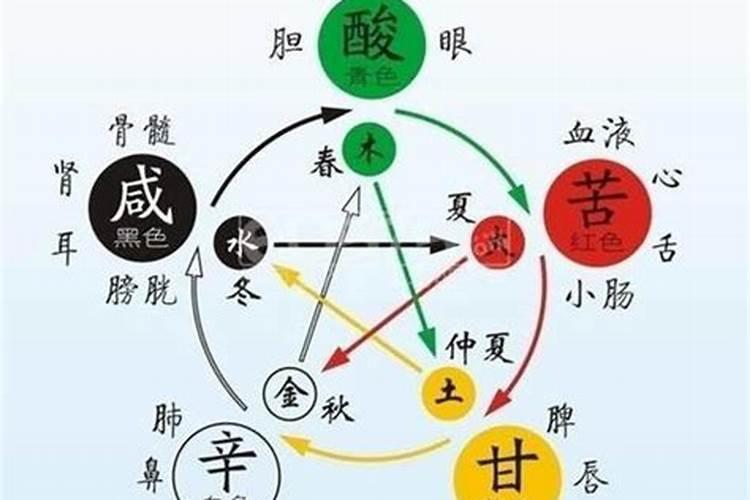 五行缺木的人取名字