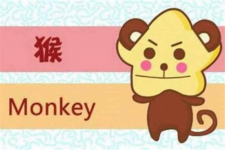 属猪与属猴的婚姻：天作之合还是性格迥异？