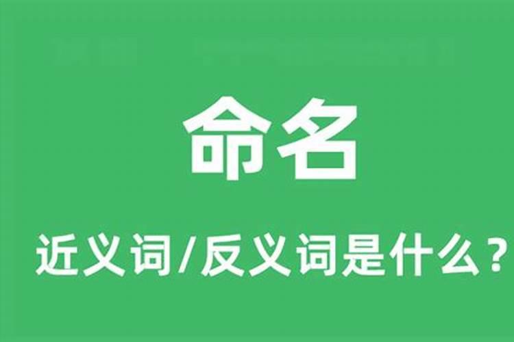 命名是什么意思