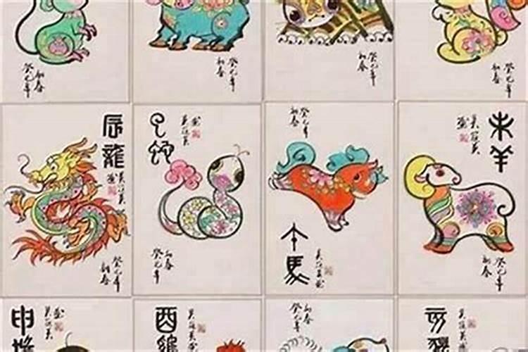 大属相小属相什么意思？