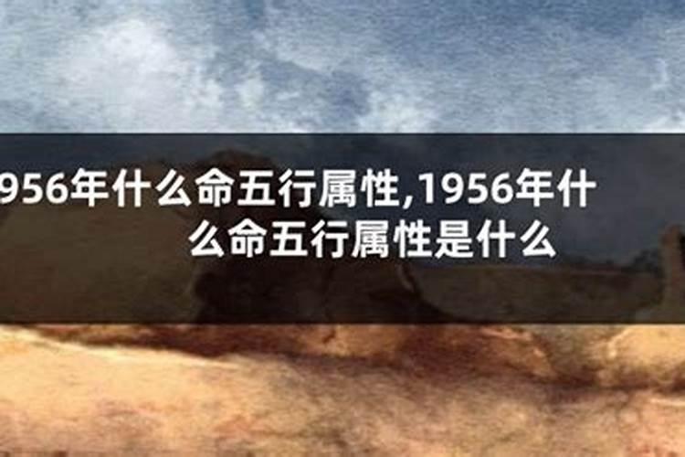 1956年什么命