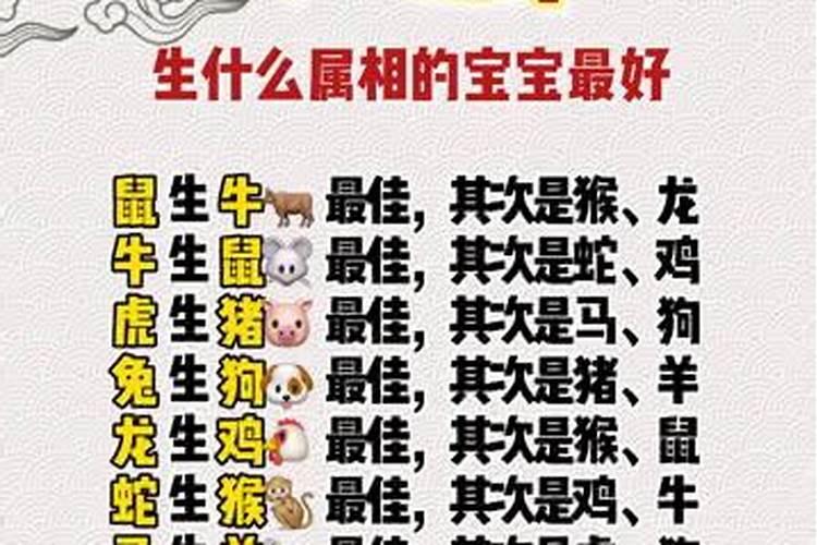 哪个属相出生的宝宝最好？