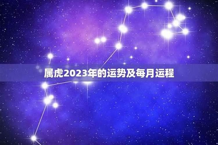 迎接幸运之年：明年哪个属相的运势将独占鳌头？