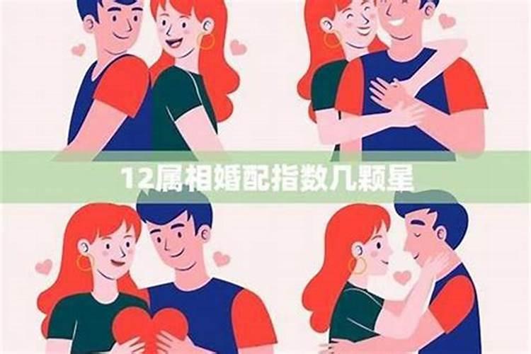 属相配对：寻找婚姻中的天作之合