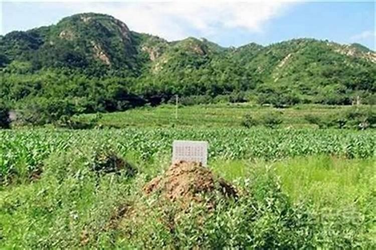 坟头上长桑树好吗</p><p>你好！桑树在坟墓风水上象征着子孙后代的人丁兴旺，繁荣昌盛，是个很好的兆头。在坟墓风水中，坟墓上长桑树是很好的。桑树象征子孙后代人丁兴旺，家大业大，繁荣昌盛，是好兆头，农村人都知道，谁家祖坟蒿子旺是好兆头，要出大官，能长树更是好得很，千万不要砍，要保护好啊！我国树木成千上万种，只。</p><p><h3 ext>二、坟墓上长桑树好不好？有什么具体寓意？