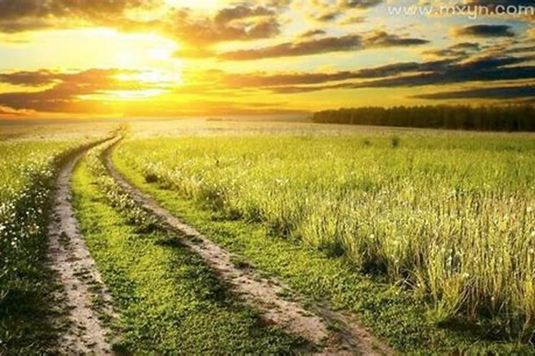 梦见回家的路特别难走是什么意思？