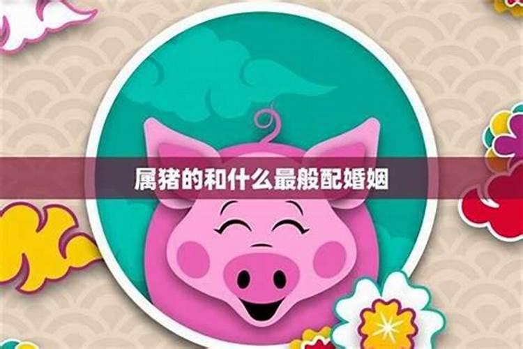 揭秘生肖猪的财富良伴：谁与猪最合拍？