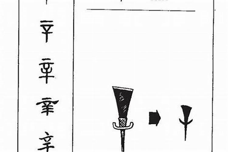 辛字五行属什么辛字读音及解释