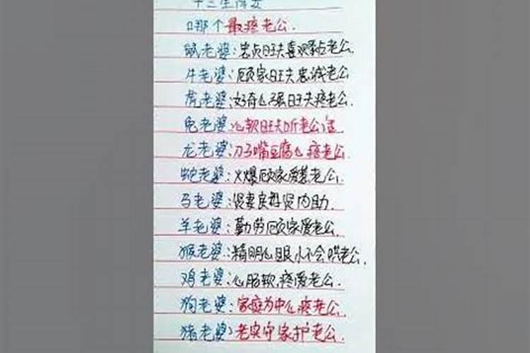 哪个生肖最疼老公？