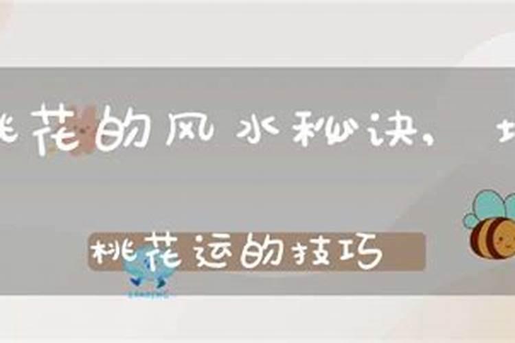 旺桃花运的方法