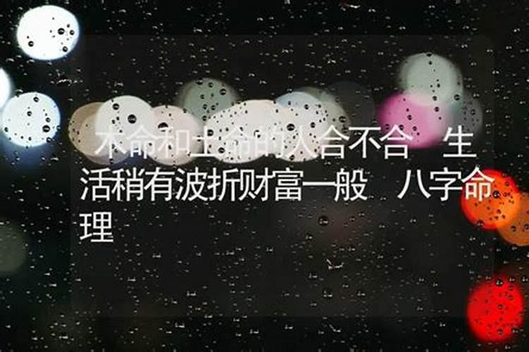 木命和土命的人合不合