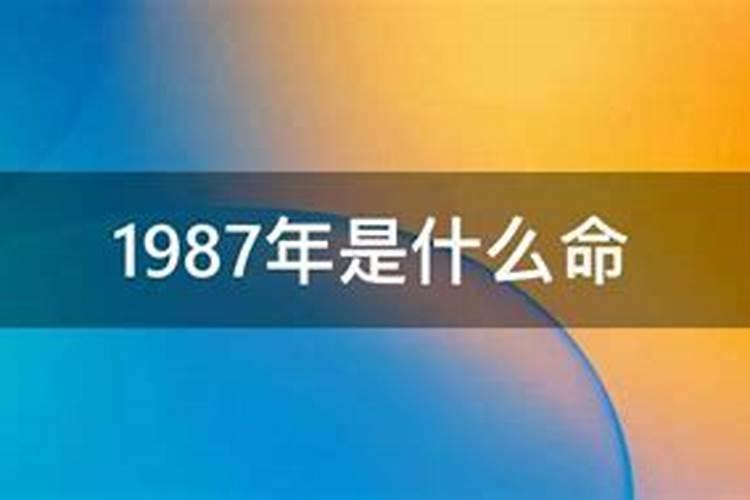 1987年是什么命？