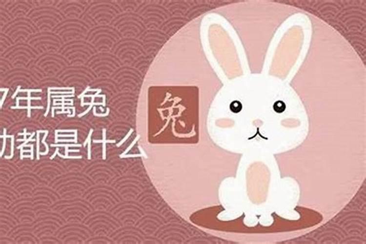 1987年是什么命1987年属兔命中三劫是什么