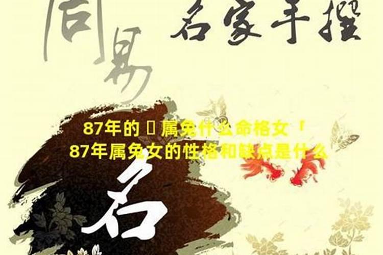 87年属什么命