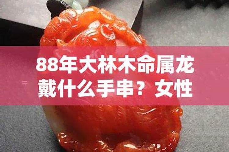 88年大林木命属龙缺什么