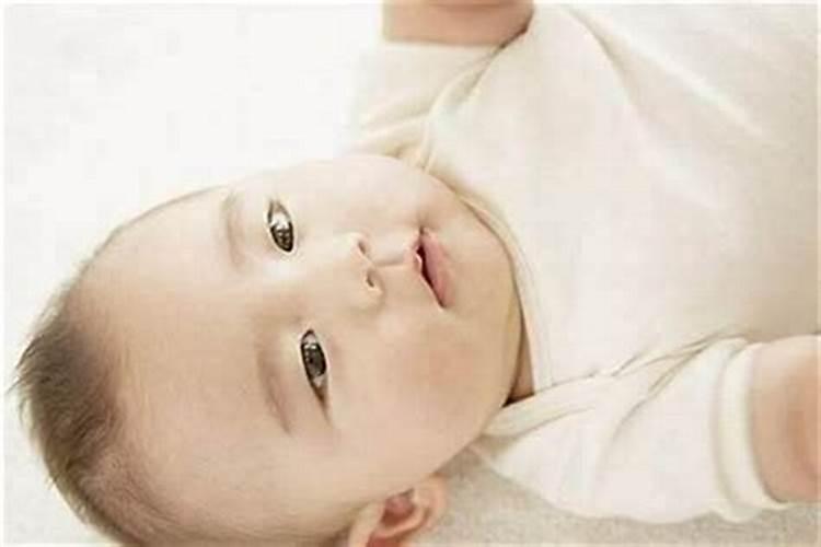 属什么的宝宝比较好带？