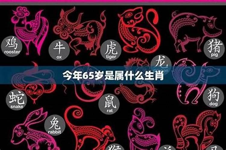 45岁是属于什么生肖？