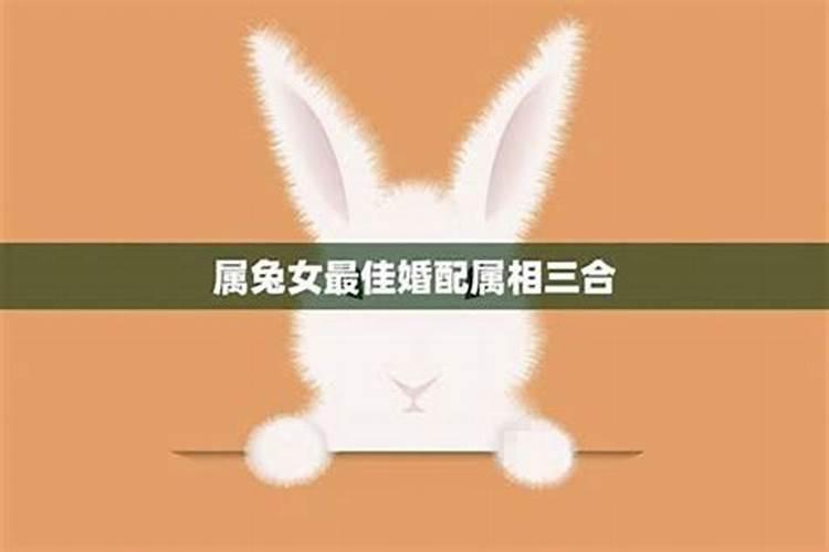 兔年添丁：探索属相与生育良缘