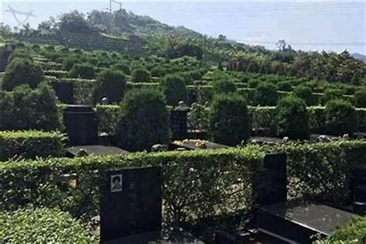 坟墓阴气之谜：风水学视角下的解析与应对