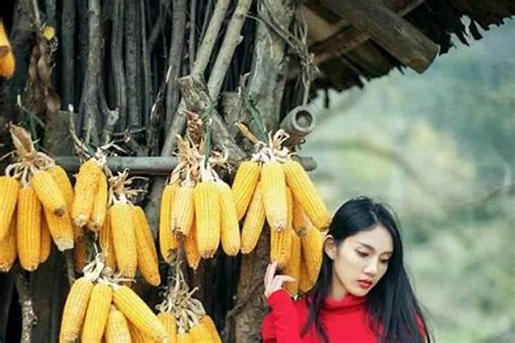逆境转机：命理学视角下的财运提升之道