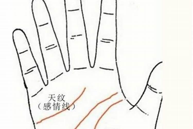 生命线事业线爱情线怎么看？