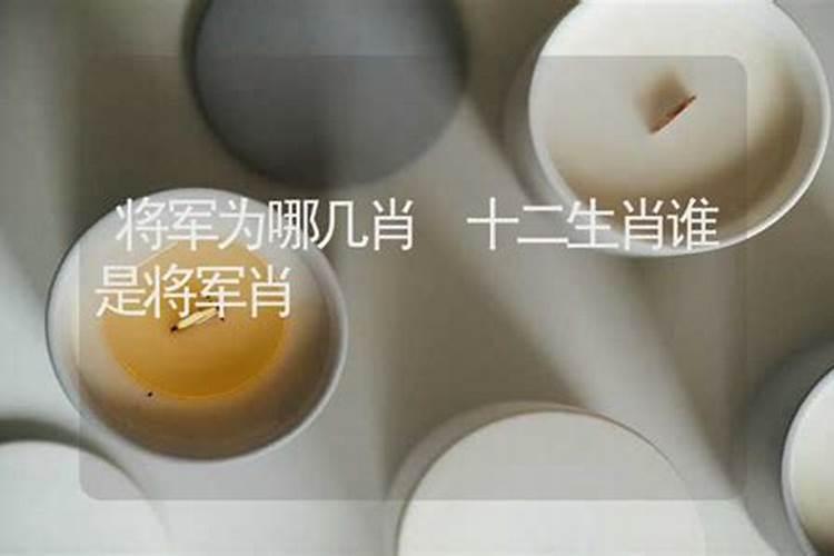 12生肖谁是将军？