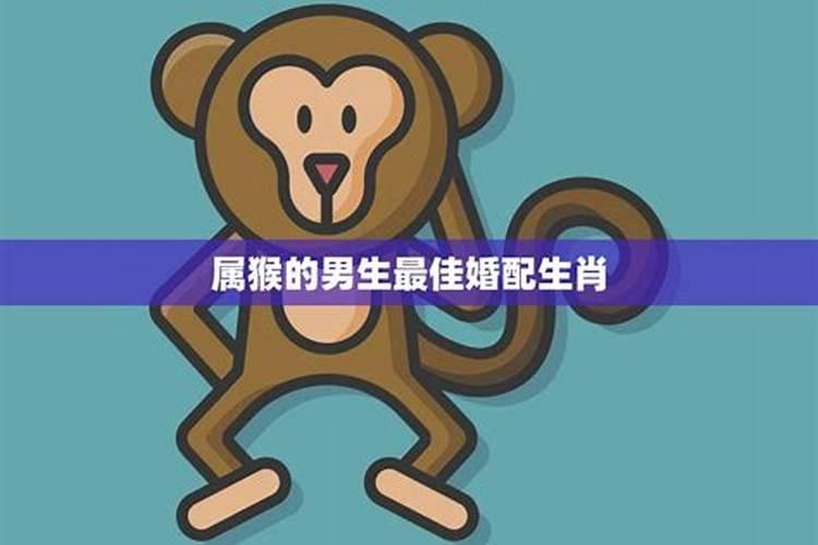 揭秘属猴人的财富良缘：与哪些属相搭档财运亨通？