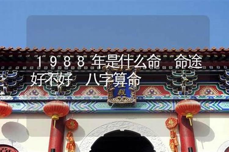 1988年是什么命？