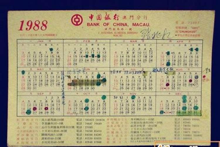 1988年什么命