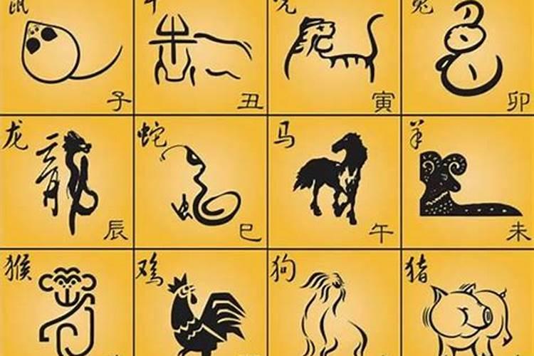 绿草与什么生肖有关联？