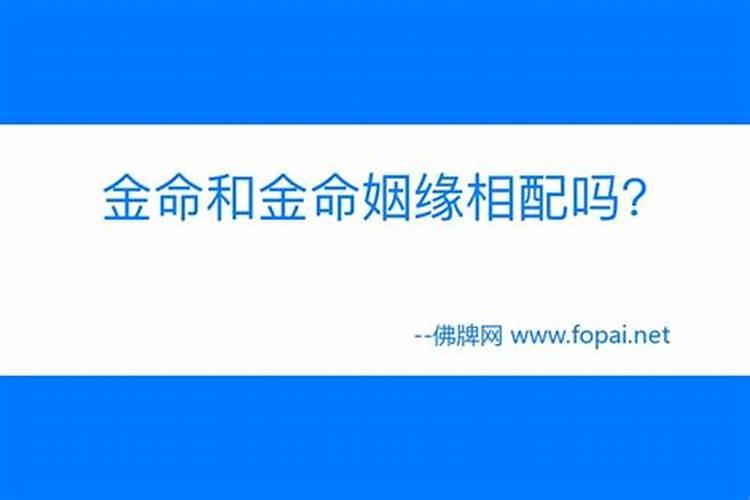 金命和金命姻缘好不好？