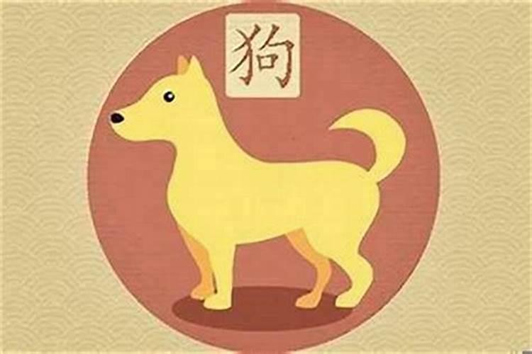 携手共进：属狗与属猪的协同之道
