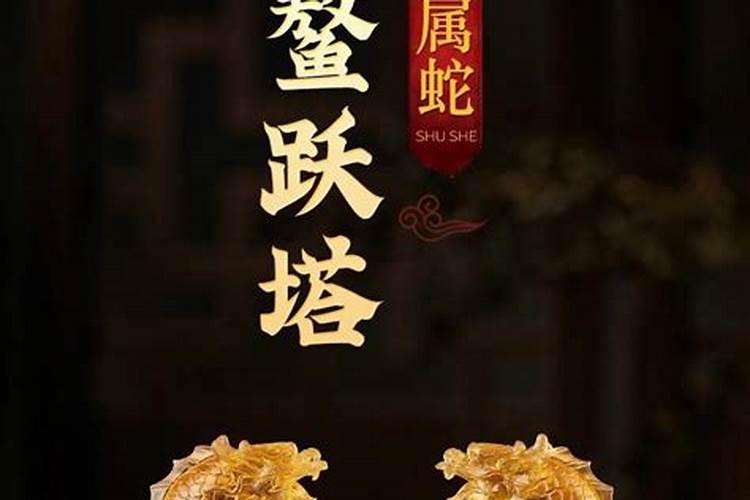 属蛇之人：智慧与策略并存，巴结与否？