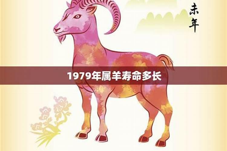 什么生肖的人寿命长？揭秘长寿的秘诀！