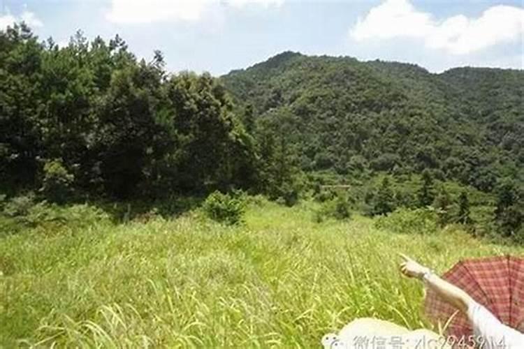揭秘风水宝地：寻找和谐能量的栖息地