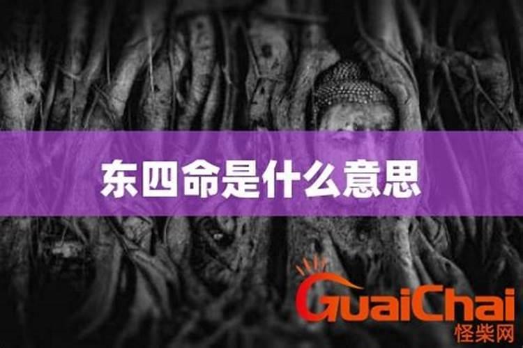解命是什么意思？