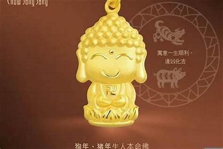 什么属相养狗狗旺财？