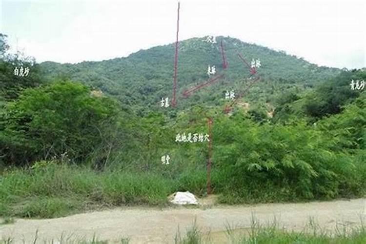 风水宝地的宝：探寻地理之神秘魅力