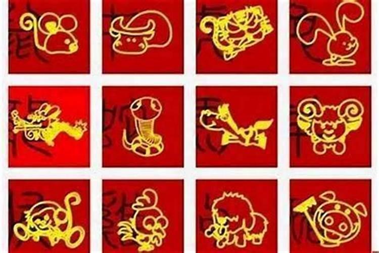 哪个生肖是独一无二的？
