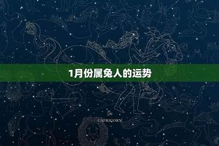 属兔女近期运势详解：迎接挑战，把握机遇
