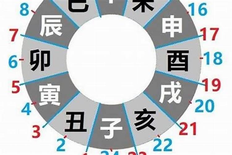 巳时出生的人是什么生肖？