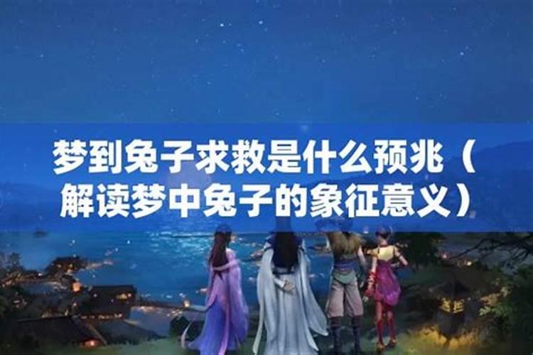 梦中的蟒蛇与兔子：探索神秘的预兆？
