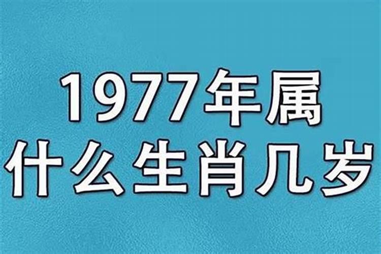 1977年是什么命年？
