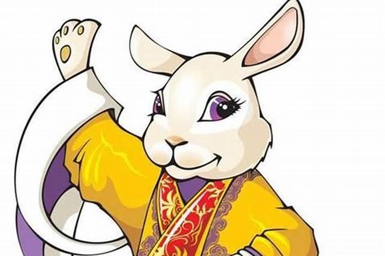 属兔人士的风水忌讳：避开不利方位，迎接顺风顺水