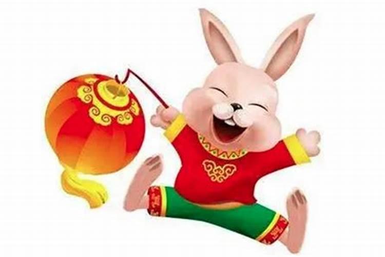 属兔人的最佳出生月份探秘