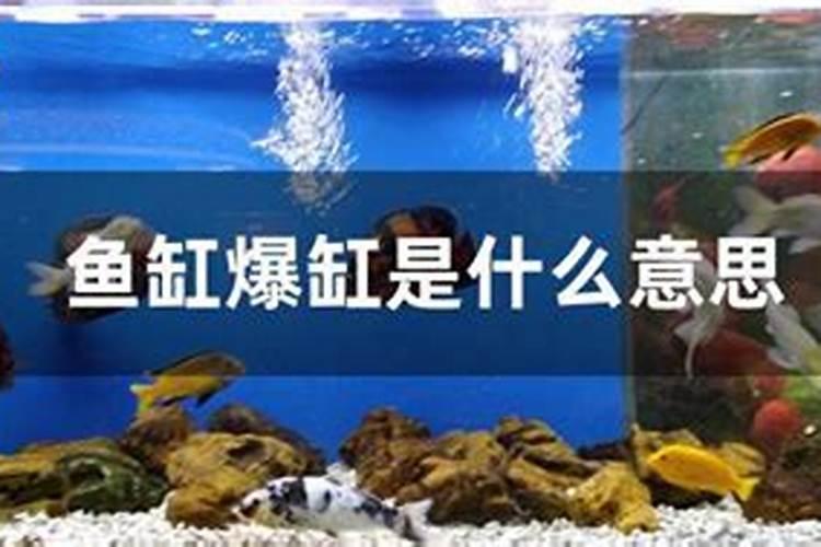 鱼缸破碎是什么意思？