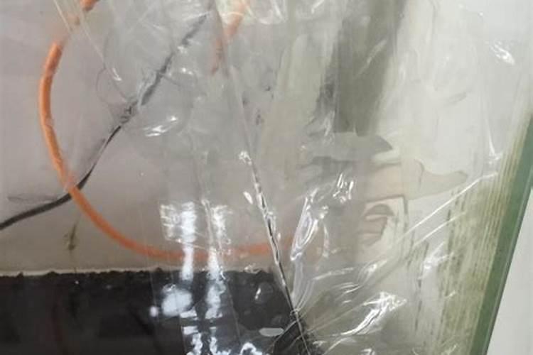 鱼缸晚上自己裂了一道口,什么寓意