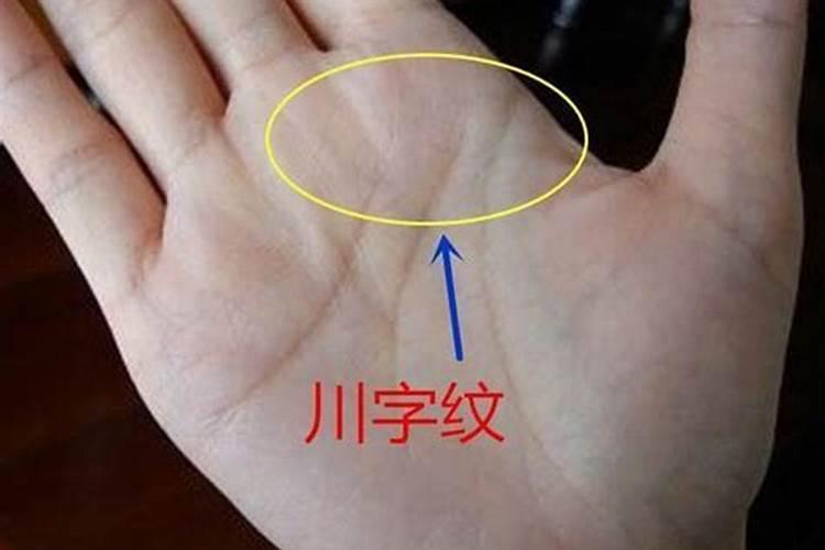 掌中纹路的秘密：探索生命线与命运的交织
