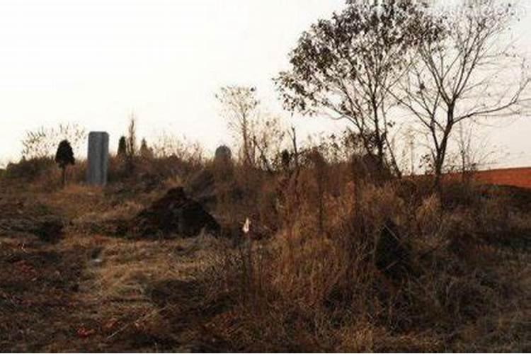 梦到在坟地里是什么意思？
